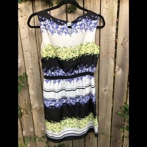 ANN TAYLOR LOFT DRESS